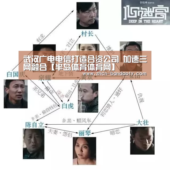 武汉广电电信打造合资公司 加速三网融合【半岛体育体育网】