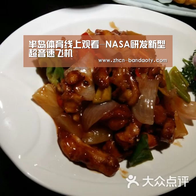 半岛体育线上观看-NASA研发新型超音速飞机