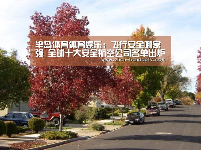 半岛体育体育娱乐：飞行安全哪家强 全球十大安全航空公司名单出
