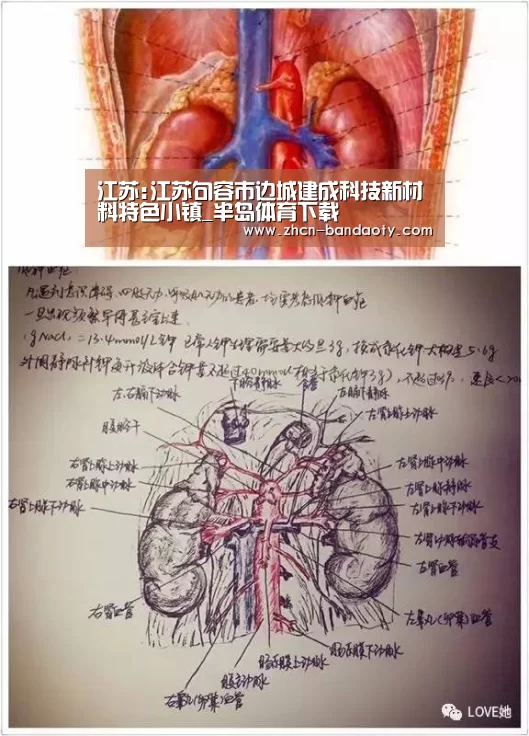 江苏:江苏句容市边城建成科技新材料特色小镇_半岛体育下载(图3) 半岛体育线上观看